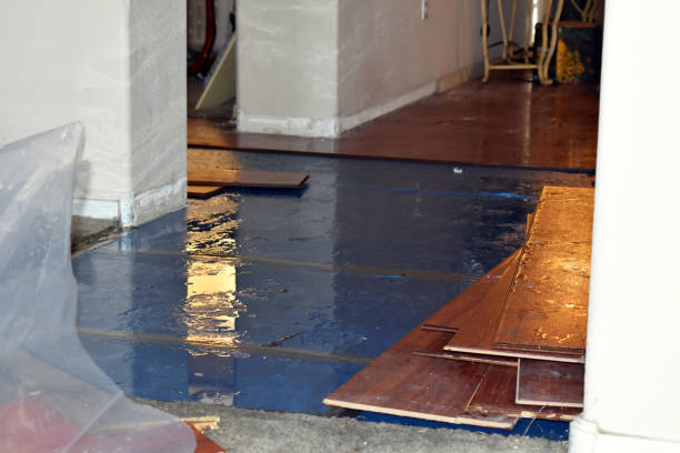 Professional Water Damage Restoration technician working in Minooka, IL
